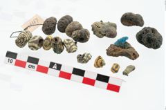 Foto von Glasaugenperle (NHMW-PRAE-026867)